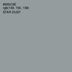 #959C9E - Star Dust Color Image